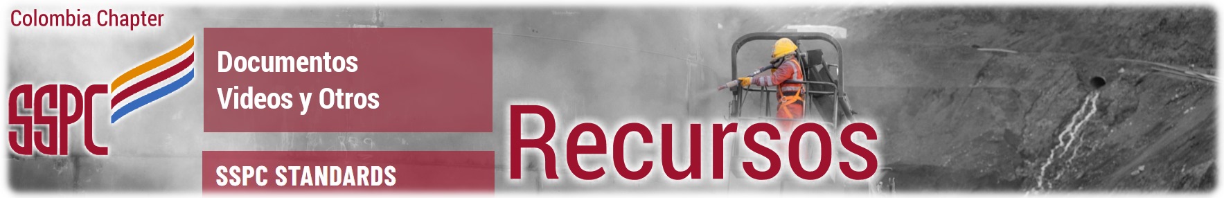 Recursos Documentos y Videos SSPC